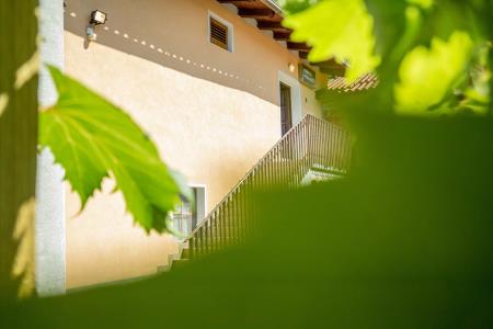 Kmetija z nastanitvijo Ferjančič