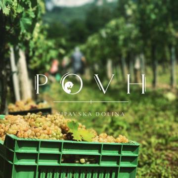 logo_vinograd_1_sredina