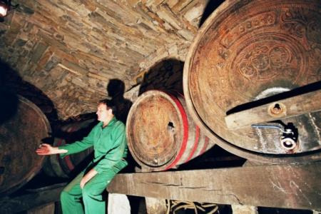zvokelj_wine_cellar4