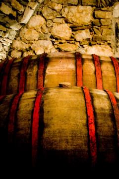 zvokelj_wine_cellar_2