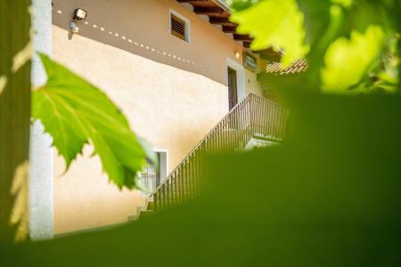 376251004_Ferjancic_Vipava