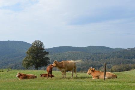 37624813243688_995528040542914_1258252652206769023_o