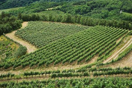 373138Preske-1024x683