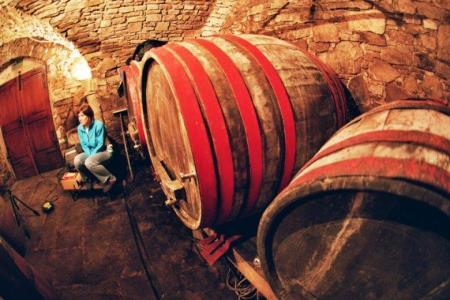347845zvokelj_wine_cellar_3
