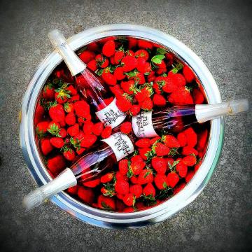 373398164937587_261892025640730_2079818744029671097_n