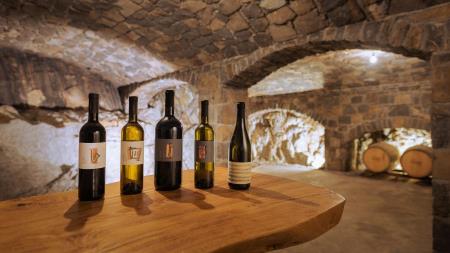 375274Vina_Poljsak-27