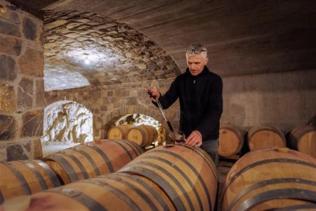 375275Vina_Poljsak-33