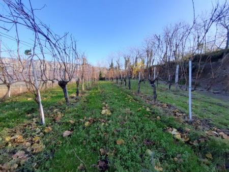 34780820191203_131234