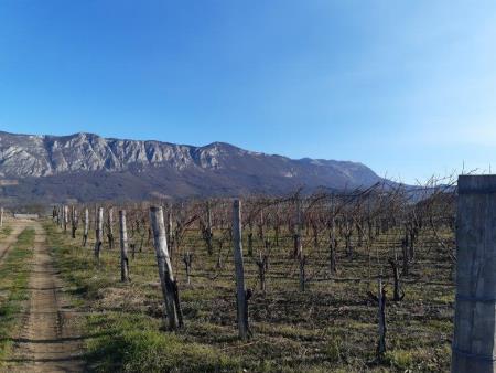 34780920200106_123403