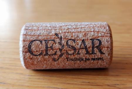 267751867_436416271352882_7752496802870756262_n