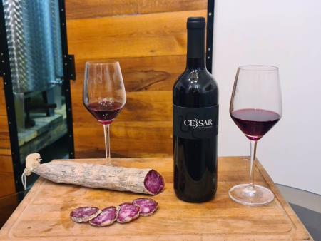 273030065_466085168385992_5848518326314854627_n