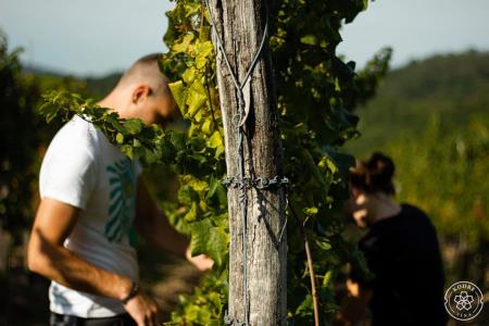 159585406_260652955592544_4423153209161534618_n