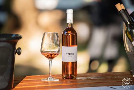 130256247_203056911352149_8016748921375556361_n