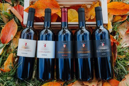 130026315_3522767067809423_1771450856458695741_n