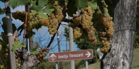 tabla-kmetija-fornazaric