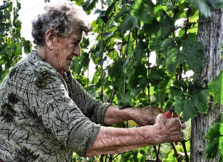 269983820_10159757410804679_3040604328135485987_n