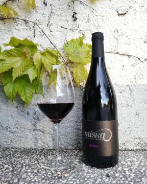 278568909_10159957435304679_2576192627850114353_n