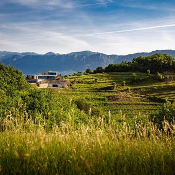 61933249_2275253569228439_3316159981706805248_n