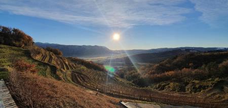 263166829_4604424646311308_7326644974462597203_n