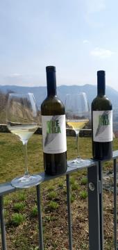 275889998_4970433323043770_4397055631582191235_n