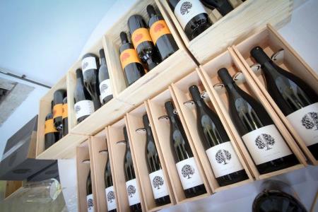 12473891_560170730800006_7042799676009160397_o