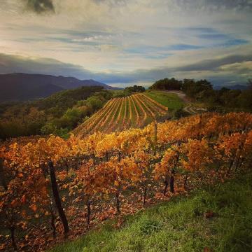 123491219_1465357403658517_1730963901980142276_n