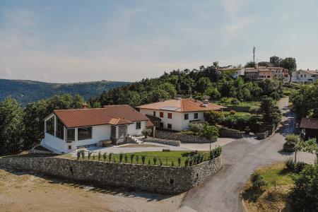 0070_190621_sv_martin