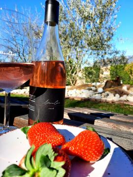 274472915_361426075990045_1422230200913334561_n