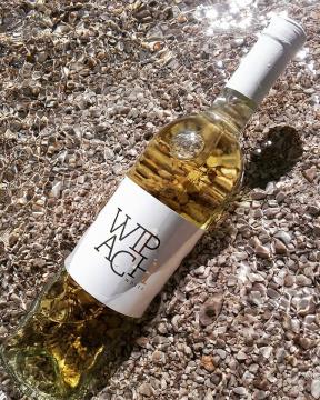 13508838_815308648601706_196526343253912162_n