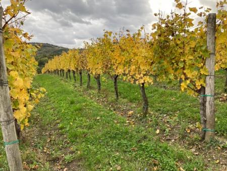 123840855_210190357145595_7577158212002211321_n