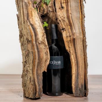 239556299_365361621791681_1566599039812711229_n