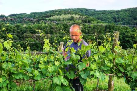 281756172_546106047003958_8845470221679817391_n