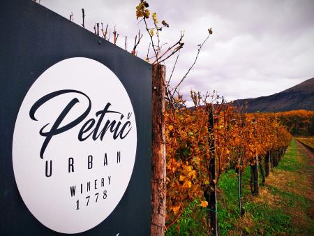 89645565_2799100283511767_3333189548510281728_n