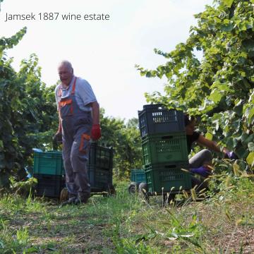 245609990_275197097939963_5676253443594845451_n