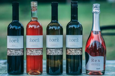 40018576_465936960568801_1646634557992075264_n