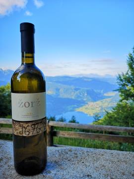 67084919_646800402482455_8161146205586325504_n