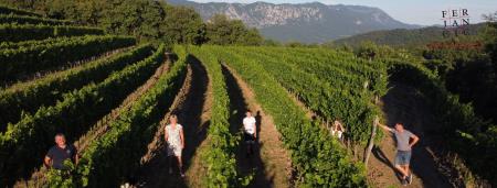 121148345_3569716379745229_5845170842095476476_n