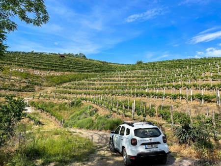 283016072_3398383737065235_1400985846681103418_n