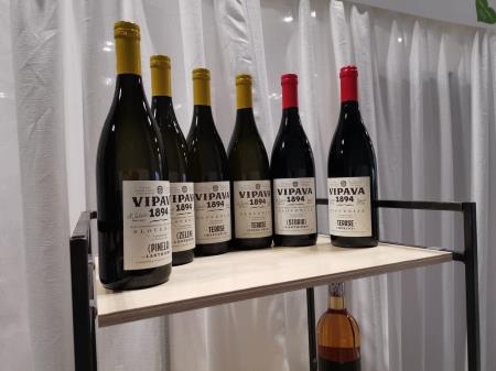 275442531_2329924453814612_915834866324378140_n