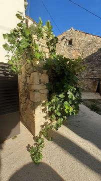 44135120220814_180624-1