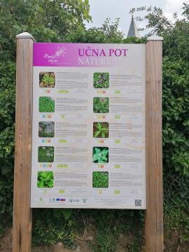 Na sliki je informacijska tabla za učno pot Med Divje