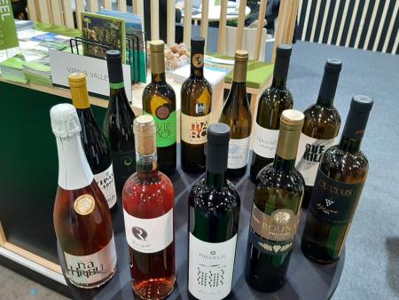 419031160_872284424691133_5807719149380557031_n