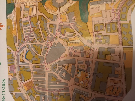 Orientacija po ulicah Vipave