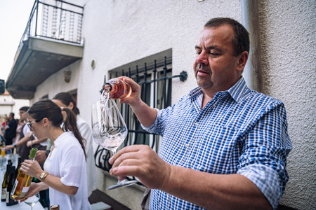 Otvoritev Hiše Zdravljica