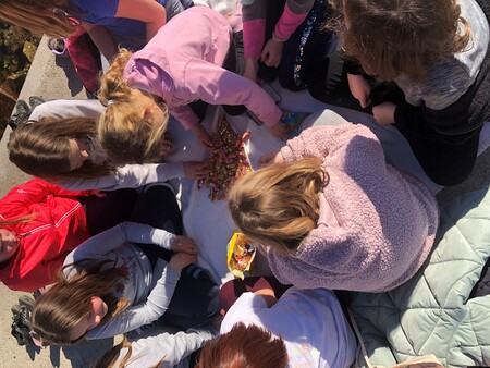 Poletno počitniško varstvo